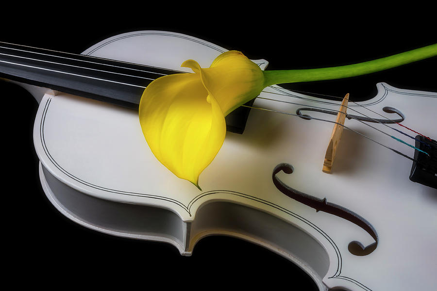 White Violin With Yellow Calla Lily Photograph by Garry Gay