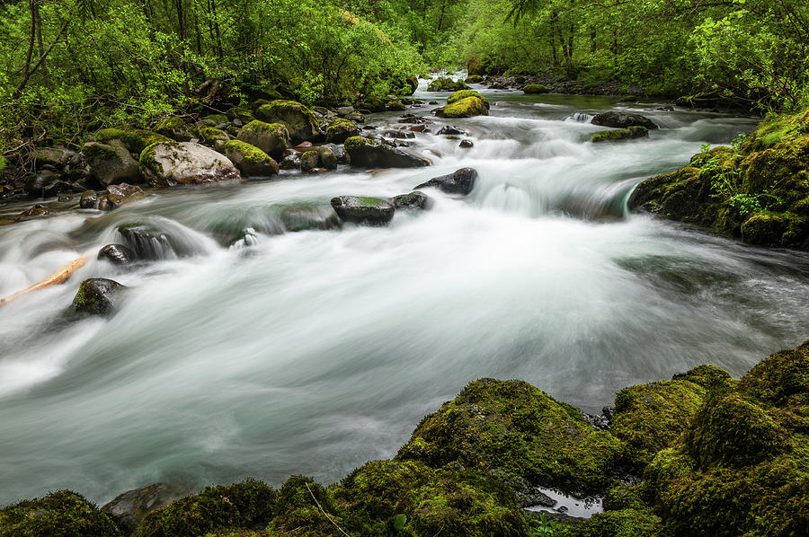 White Water River Rushing Through Green Photograph by Fotovoyager