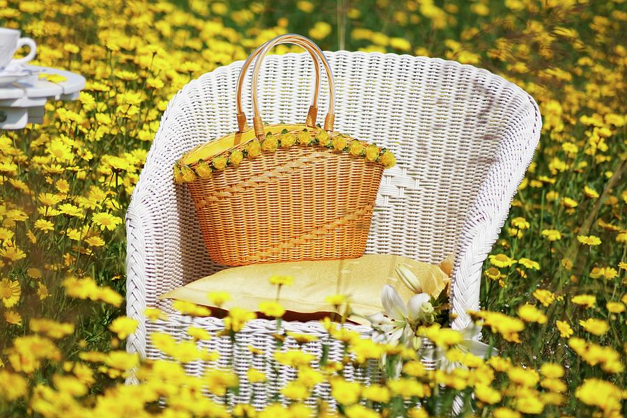 White Wicker Chair Amongst Meadow Of Yellow Flowers Photograph by Angelica Linnhoff