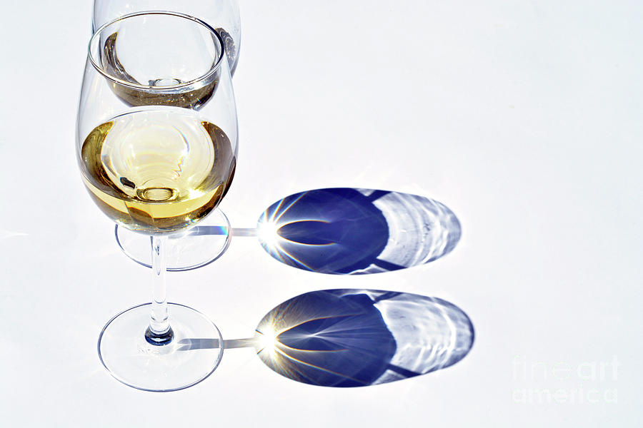 White Wine Glass With Reflection Shadow Photograph by Trinetuzun