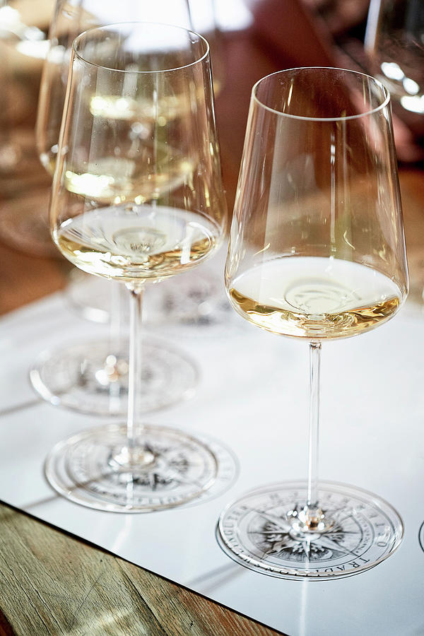 White Wine Glasses, Lined Up For Wine Tasting Photograph by Herbert Lehmann
