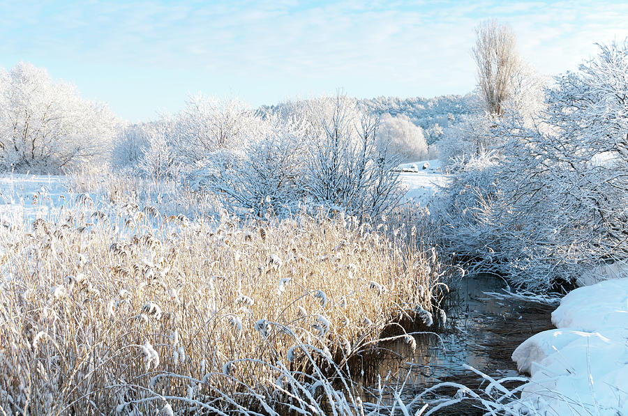 White Winter Landscape Photograph by Martin Wahlborg