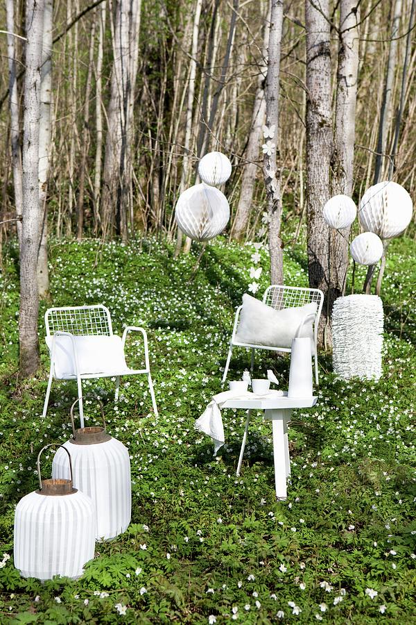 White Wire Chairs, Side Table And Lanterns Of Various Shapes In Woodland Clearing Carpeted In Wood Anemones Photograph by Annette Nordstrom