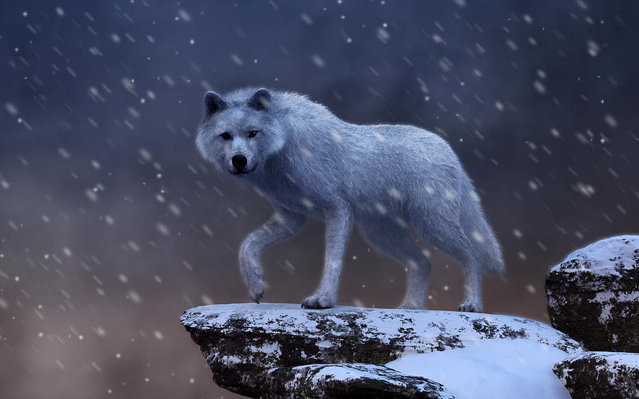 White Wolf in a Blizzard Digital Art by Daniel Eskridge