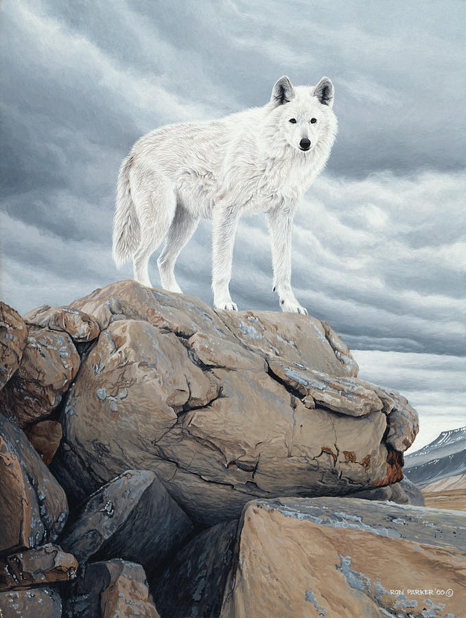 White Wolf Painting by Ron Parker