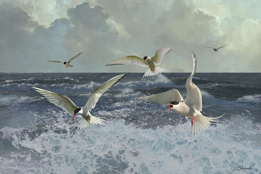 Whitecaps and Terns Digital Art by M Spadecaller