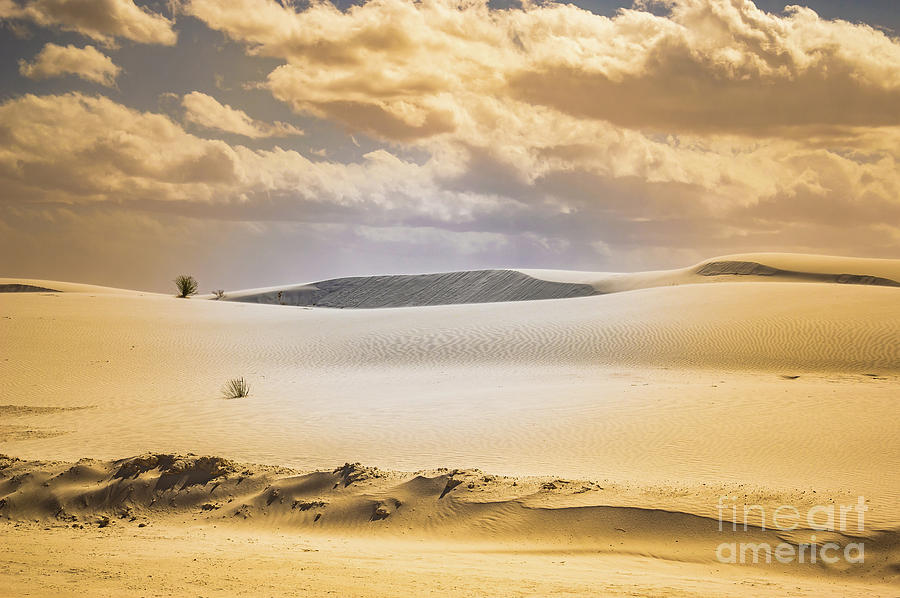 Whites Sands National Monument Photograph by Blake Webster