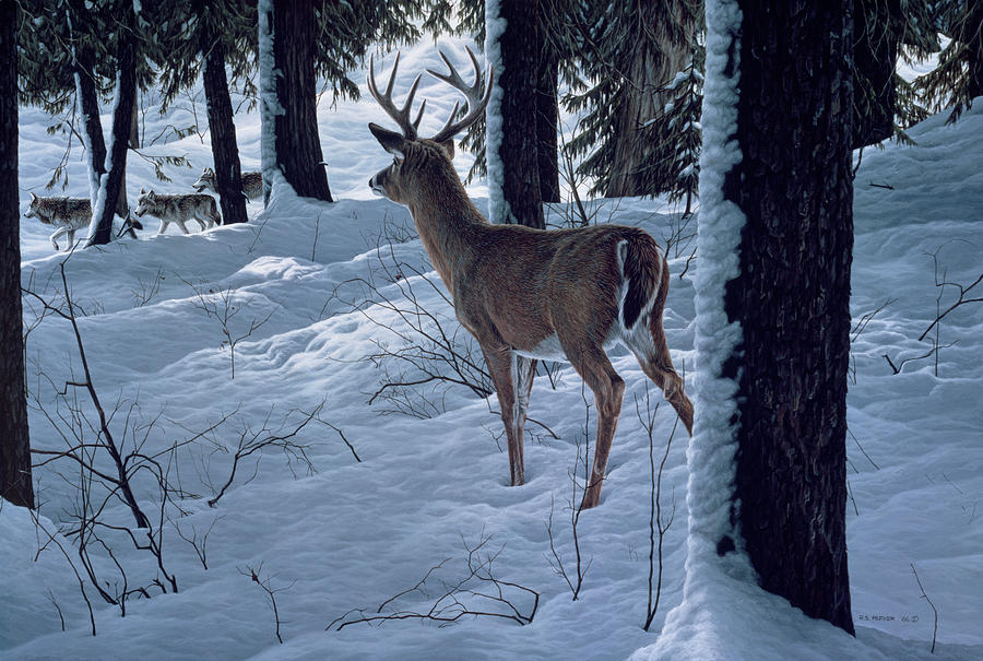 Whitetail & Wolves Painting By Ron Parker - Pixels