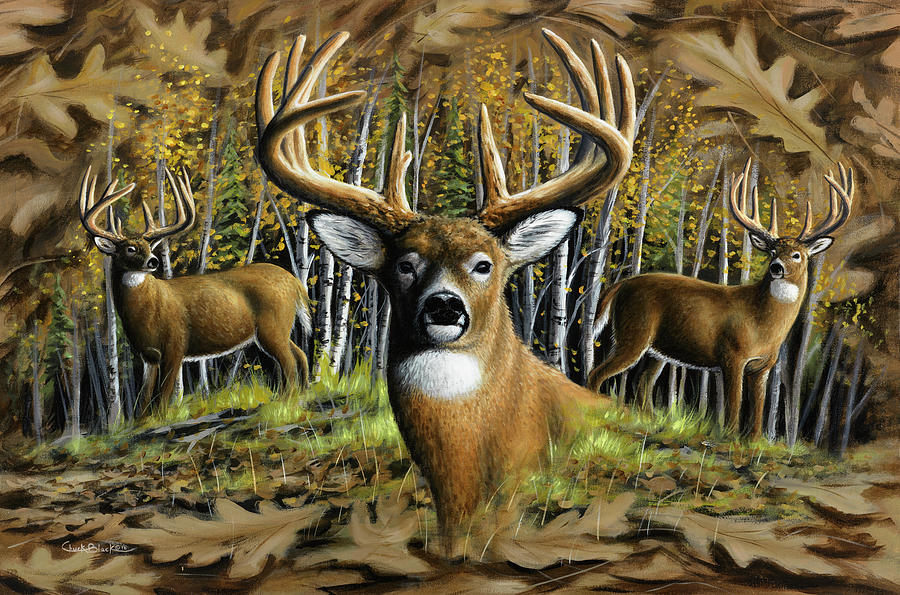 Deer Painting - Whitetail Country by Chuck Black
