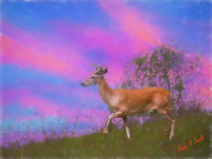 Whitetailed deer. by Rusty R Smith Whitetailed deer. by Rusty R Smith