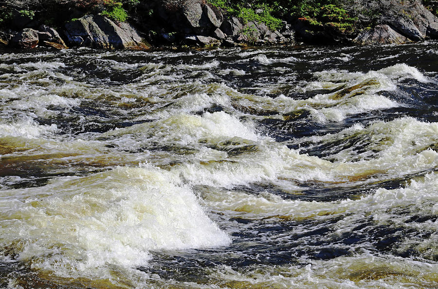 Whitewater Rapids Photograph