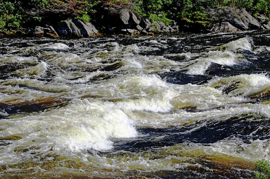Whitewater Rapids I Photograph