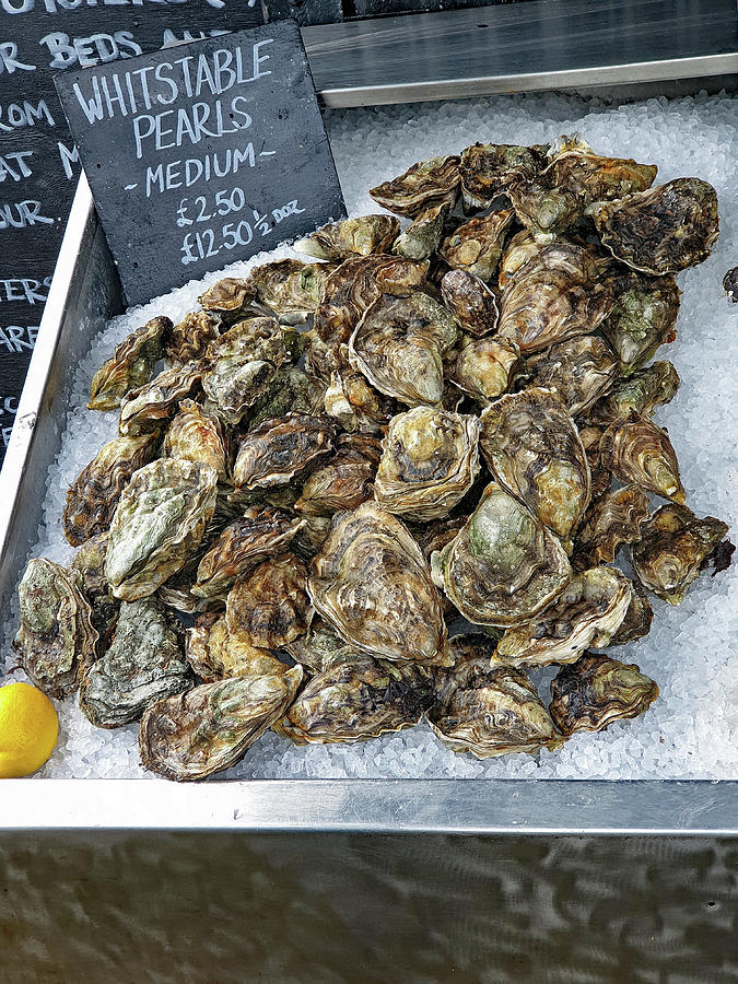 Whitstable Oysters by Tony Murtagh Whitstable Oysters by Tony Murtagh