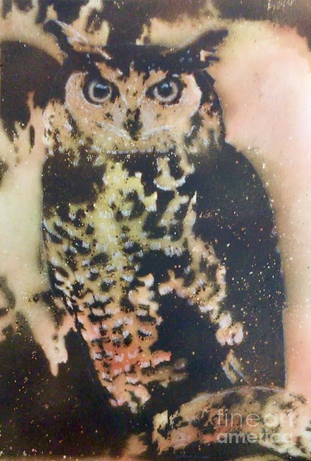 Owl Pyrography - Who? by Brandi Pfleider
