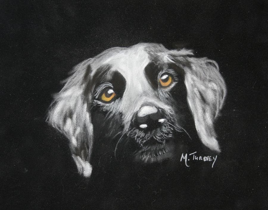 Who Me Pastel by Michele Turney