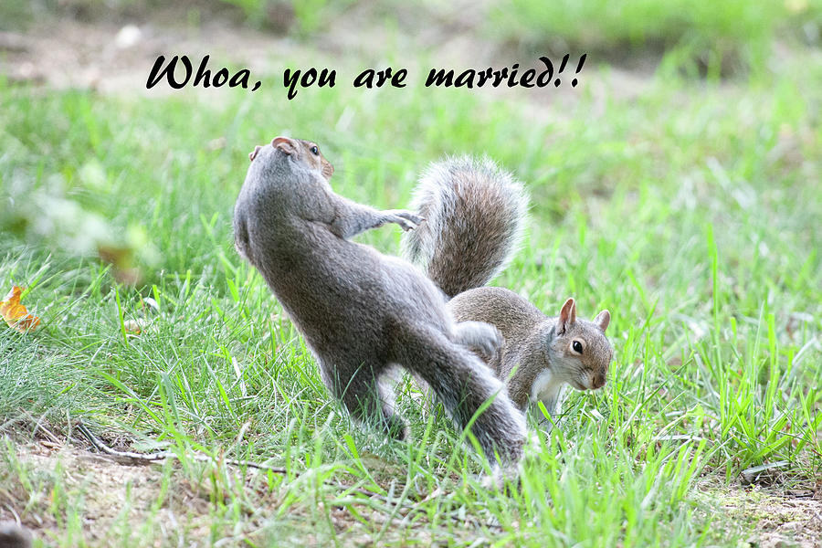 Whoa   you are married Photograph by Daniel Friend