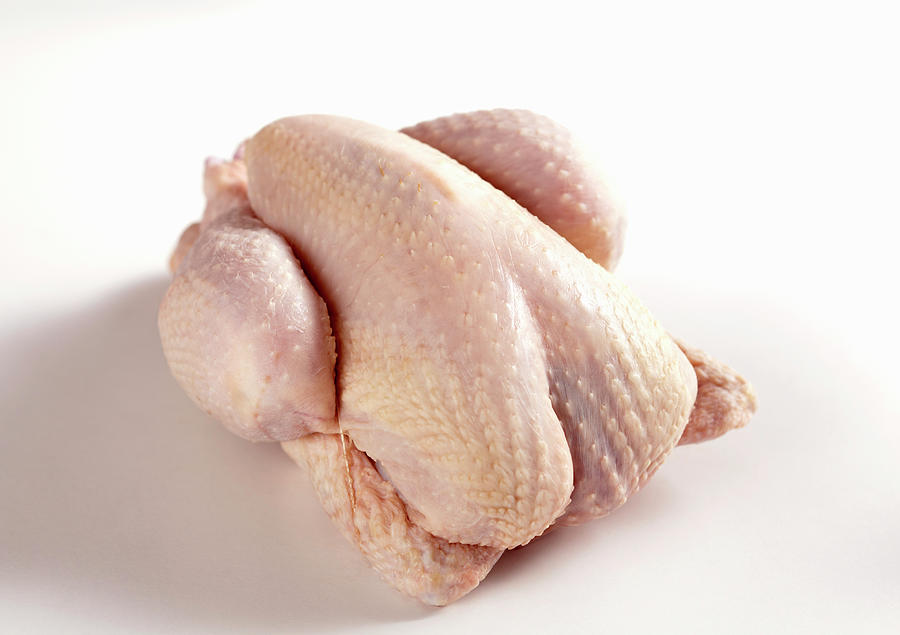 Whole Baby Turkey, Raw Photograph by Teubner Foodfoto