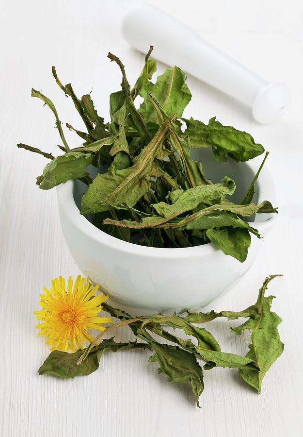 Whole Dried Dandelion Leaves In A Mortar For Making Dandelion Tea Photograph by Shawn Hempel