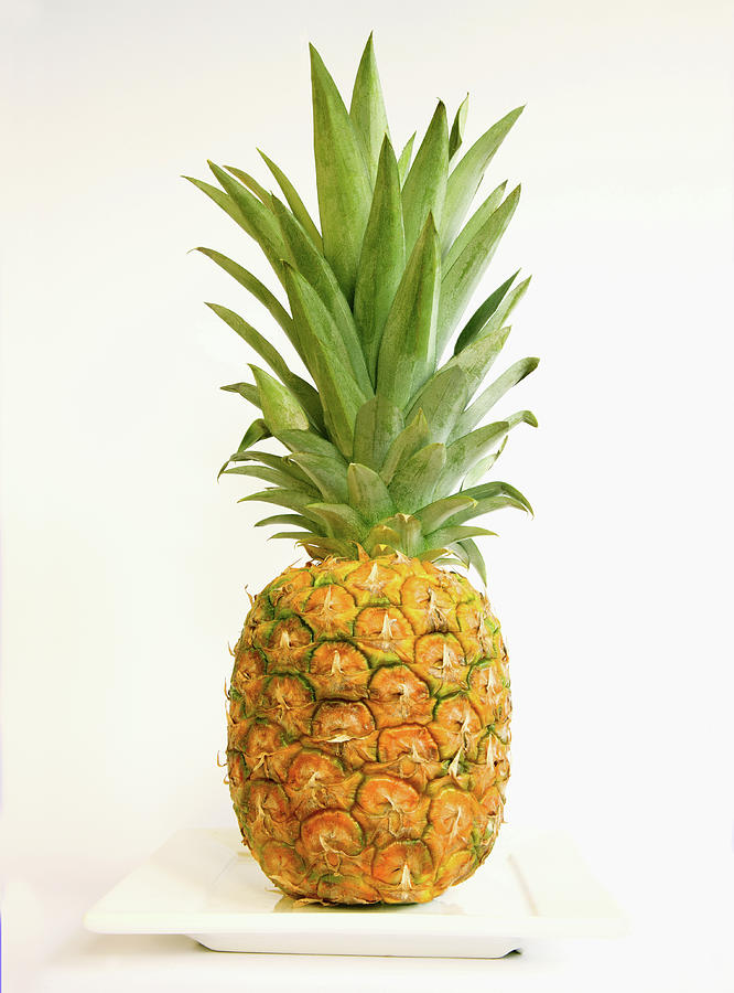 Whole Fresh Pineapple Photograph by Rosemary Calvert