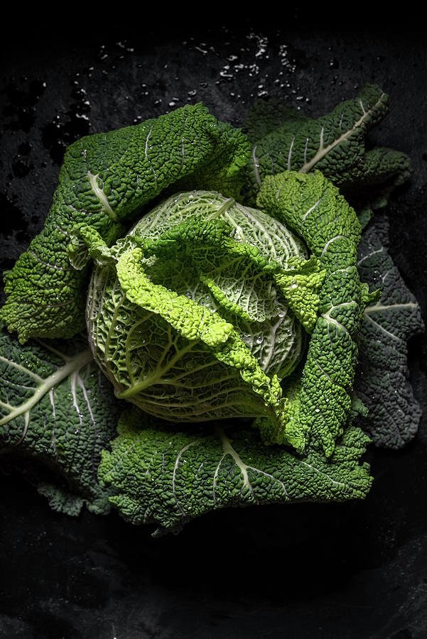 Whole Head Of Green Cabbage Over Black Background Photograph by Sonia Bozzo