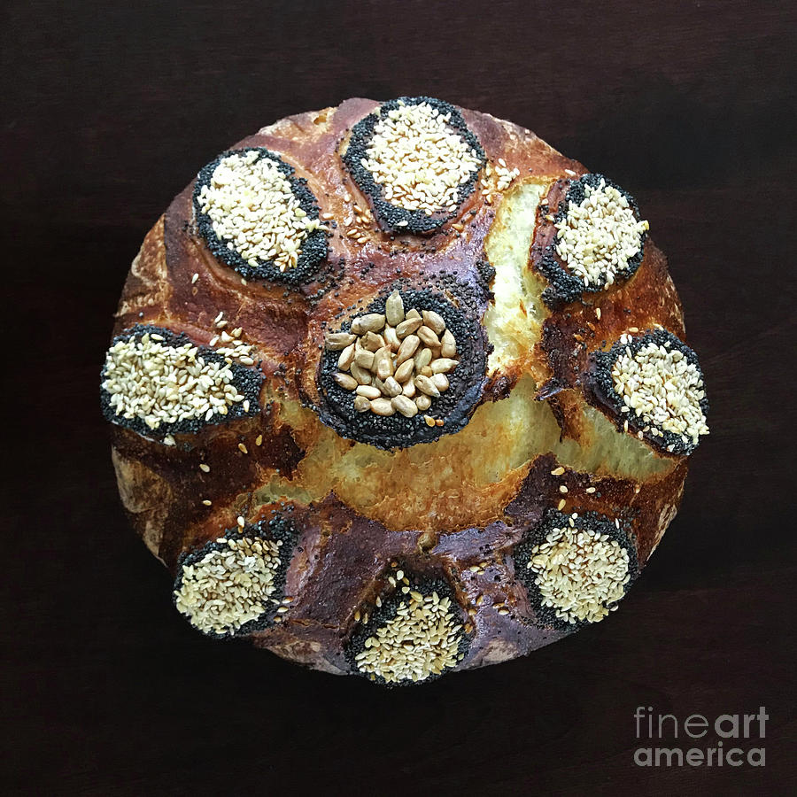 Whole White Wheat with Raised Seeded Floral Motif 2 Photograph by Amy E Fraser