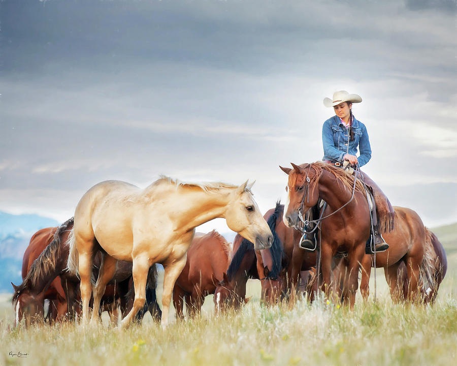 Why Not Make New Friends by Phyllis Burchett Why Not Make New Friends by Phyllis Burchett