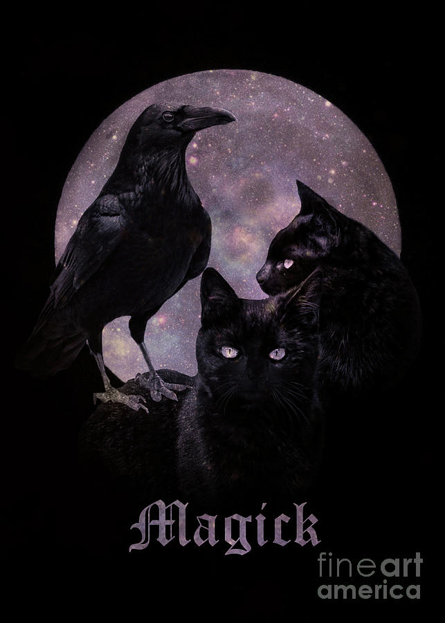 Wicca Lunar Magick Photograph by Stephanie Laird
