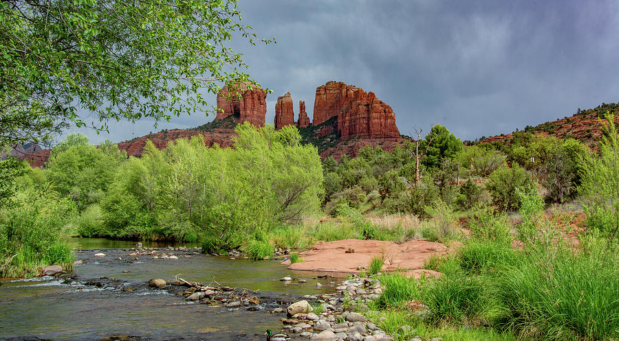 Wicked Weather at Cathedral Rock Photograph by Marcy Wielfaert