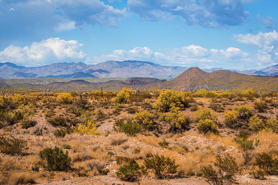 Wickenburg Mountains by Juliana Swenson Wickenburg Mountains by Juliana Swenson