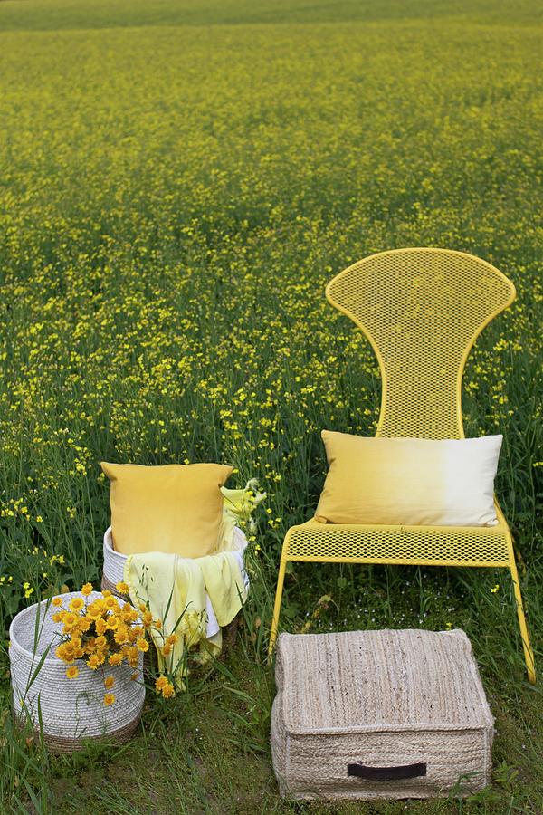 Wicker Baskets, Flowers And Cushions Next To Yellow Metal Chairs In Field Of Flowering Rapeseed Photograph by Annette Nordstrom