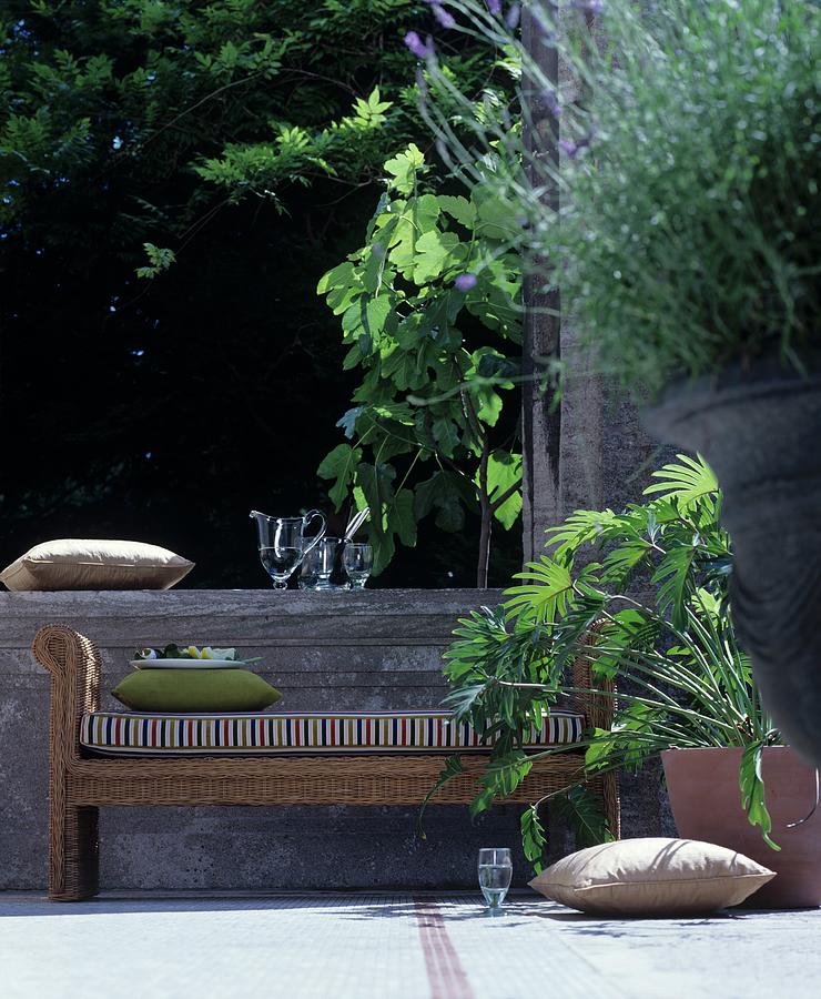Wicker Bench And Plants On Summery Terrace Photograph by Matteo Manduzio