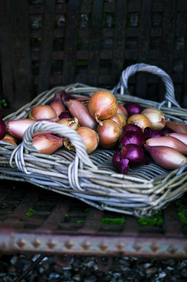 Wicker Tray Of Onions Photograph by Karen Thomas