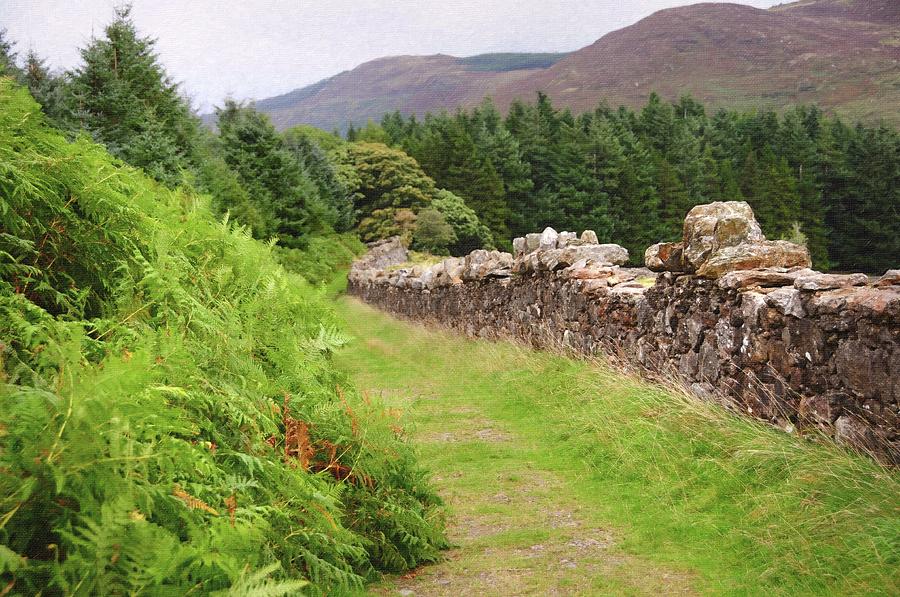 Wicklow Journey. Along Stoned Wall Photograph by Jenny Rainbow