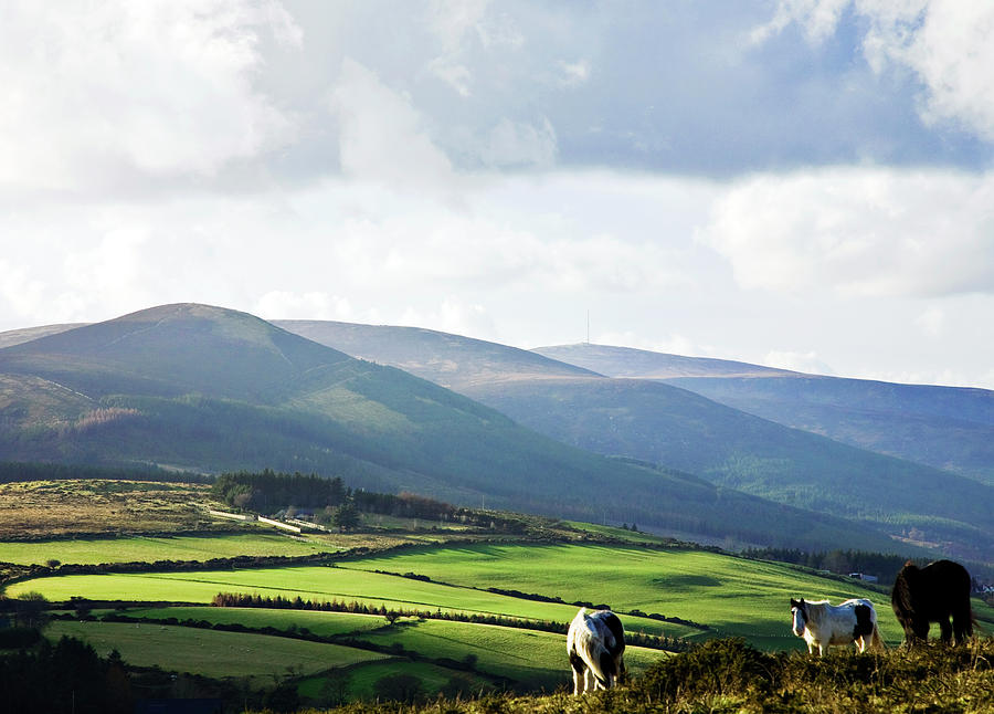 Wicklow Mountains, Ireland Photograph by Jim Foley