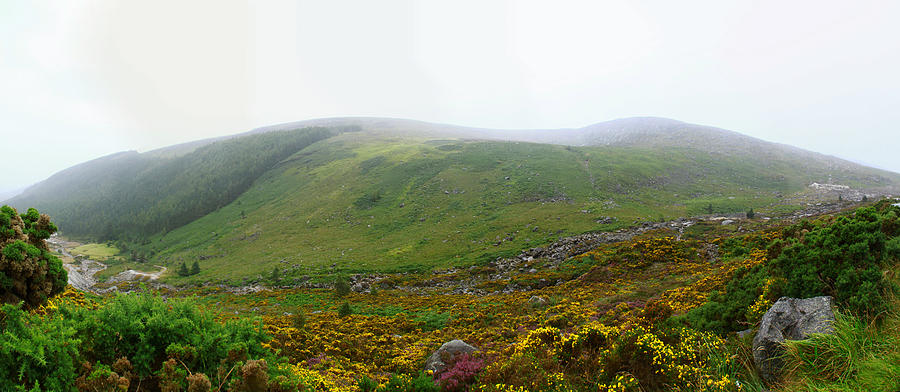 Wicklow Mountains Photograph by Miguel Moreira
