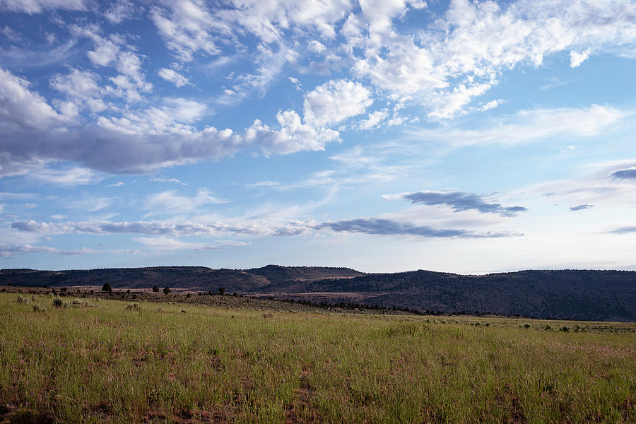 Wide Open Spaces Photograph by Steven Clark