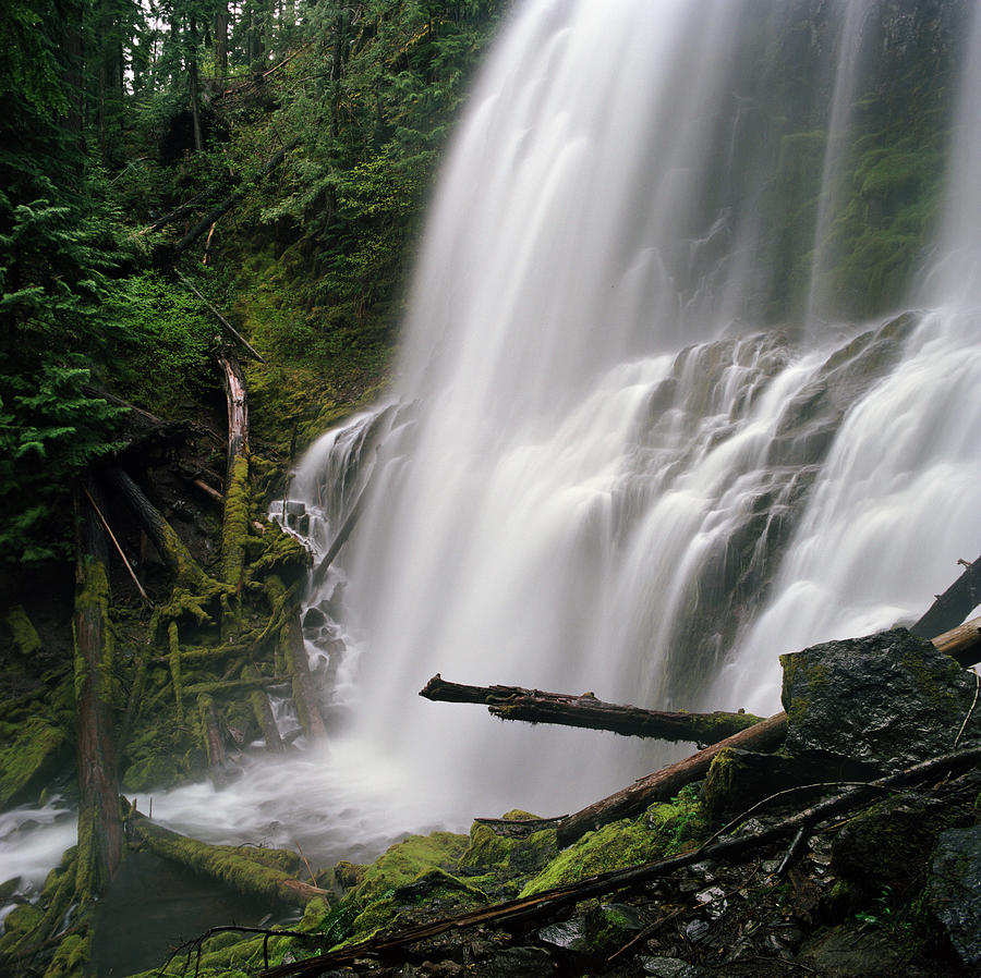 Wide Waterfall In Lush Forest Photograph by Danielle D. Hughson