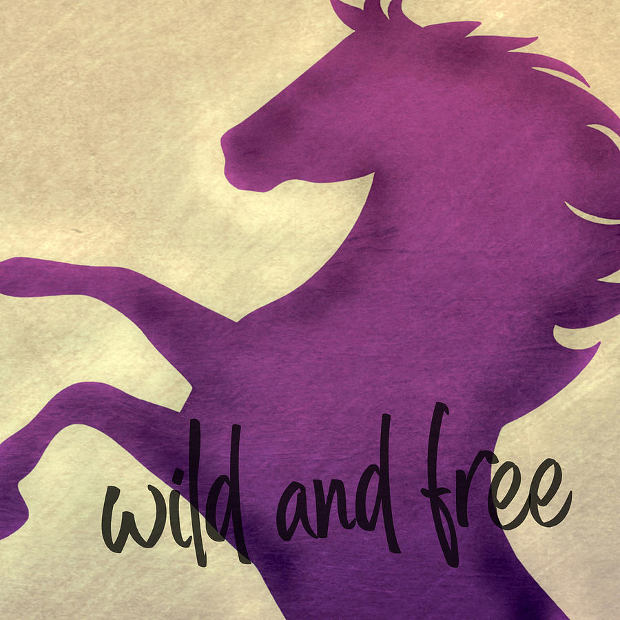 Wild And Free Photograph by Dressage Design
