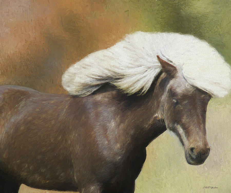 WILD AND FREE - Painted by Ericamaxine Price WILD AND FREE - Painted by Ericamaxine Price