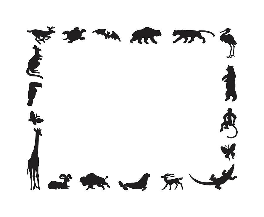 Alligator Drawing - Wild Animal Border by CSA Images