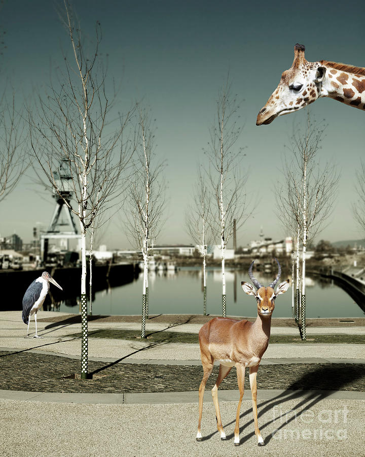 Wild Animals In The City, Composite Photograph by Westend61