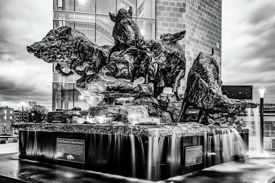 Wild Band of Razorbacks Monument Fountain - University of Arkansas Monochrome Photograph by Gregory Ballos