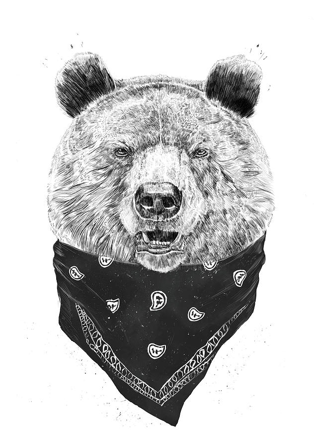 Animal Mixed Media - Wild bear by Balazs Solti