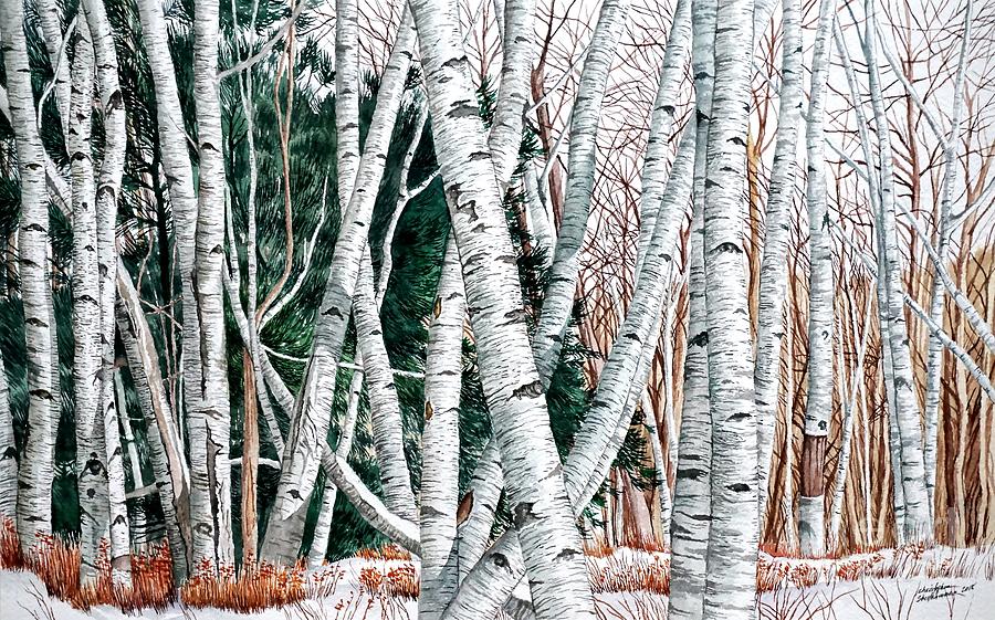 Wild Birch Trees in the Deep Forest in watercolor Painting by Christopher Shellhammer