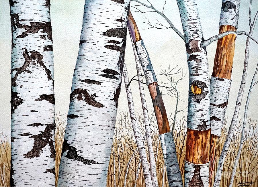 Wild Birch Trees in the Forest in watercolor Painting by Christopher Shellhammer