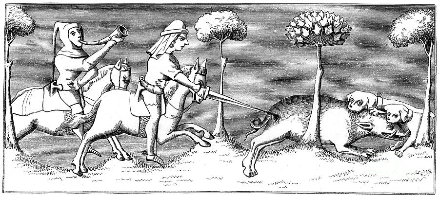 Wild Boar Hunting With Dogs, 14th Drawing by Print Collector