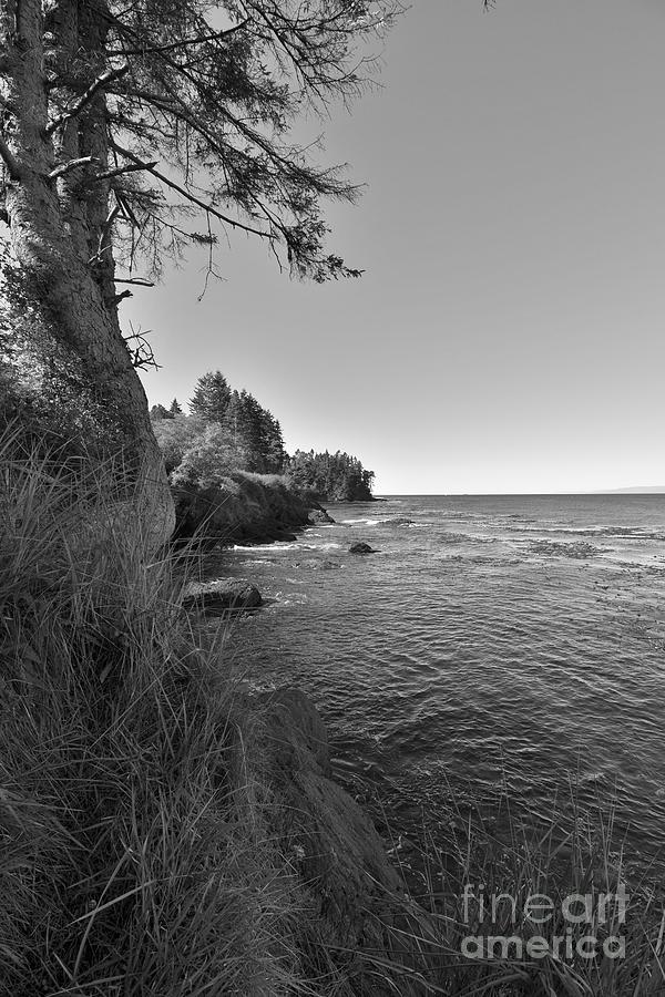 Wild Coast by Jeni Gray Wild Coast by Jeni Gray