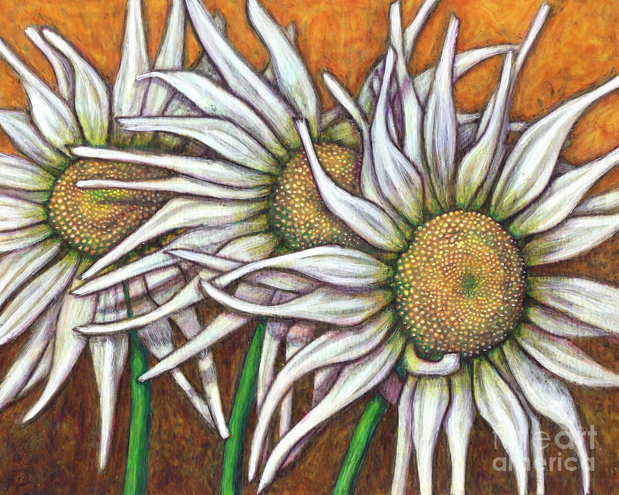 Wild Daisy Trio Painting by Amy E Fraser