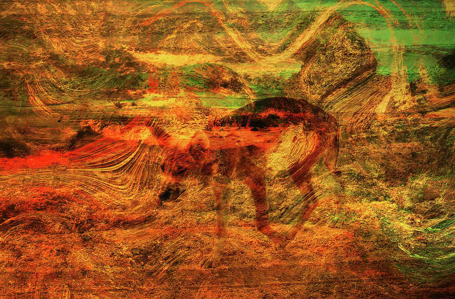 Wild Dingo On Fraser Island Abstract Digital Art Digital Art