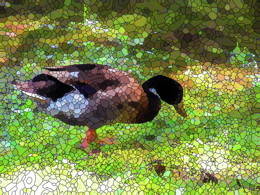 Wild duck Mallard 3 Painting by Jeelan Clark